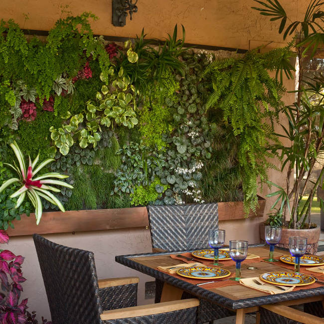 Traeger living wall vertical garden9