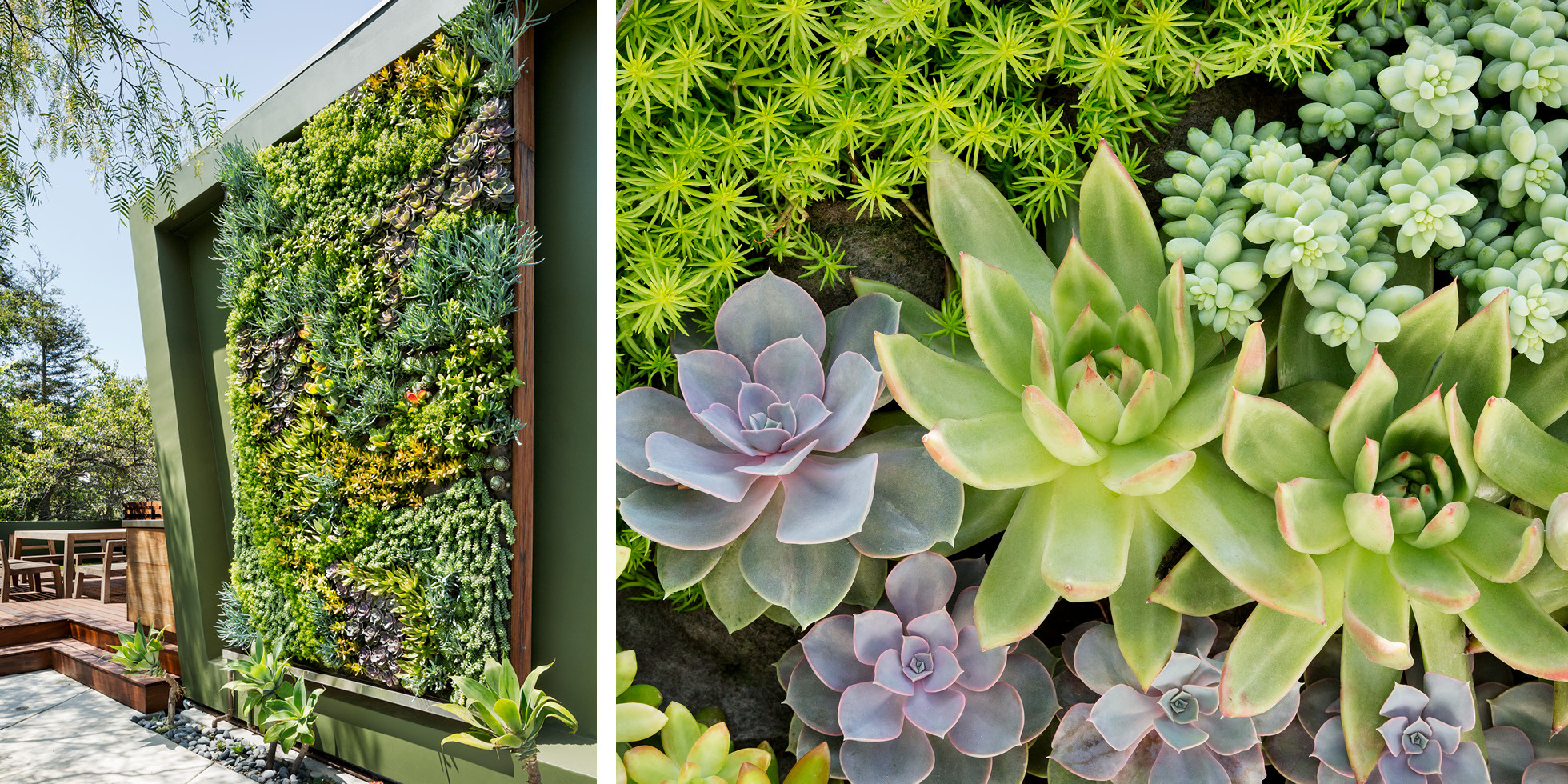 Private Residence Living Wall by Habitat Horticulture - View 3